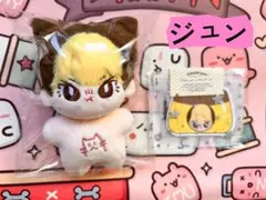 2025年最新】Seventeen ジュン ぬいぐるみ マスターの人気