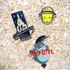 東京ディズニーランド11周年記念バッチ