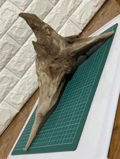 2025年最新】ホーンウッドの人気アイテム - メルカリ