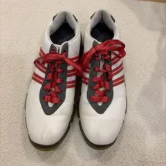 アディダス　ゴルフシューズ