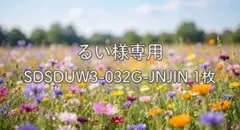 るい様　SDSDUW3-032G-JNJIN 1枚