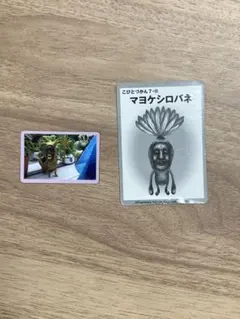 こびとづかんマグネット、何か2個セット