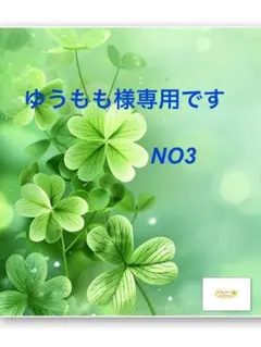 ゆうもも様専用です