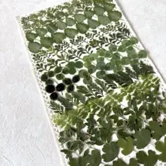 atelier etsu様 リクエスト 2点 まとめ商品