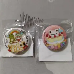 カエルのピクルス picklesthefrog 缶バッジ 2点