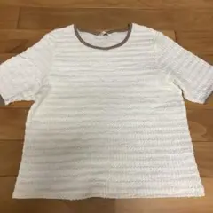 トップス　半袖　フリーサイズ