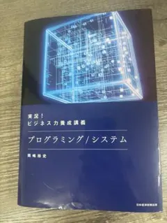 実践！ビジネス力養成講義 プログラミング/システム