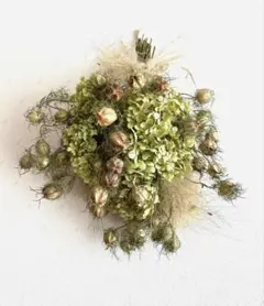 2025年最新】アナベルスワッグの人気アイテム - メルカリ