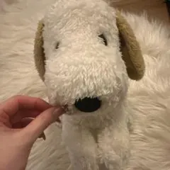 犬のぬいぐるみ 中型 白