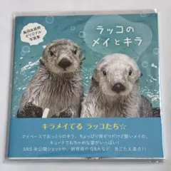 2026年最新】鳥羽水族館 写真集の人気アイテム - メルカリ