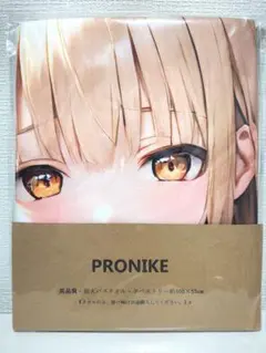 300円オークション/椎名真昼 /大判バスタオル/105×55cm/