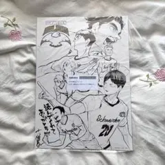 ハイキュー!! フェア 描きおろしイラストシート 2枚セット
