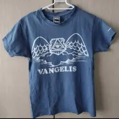 嬉*い様 PAM Peaks and mini パム 半袖 Tシャツ ブルー yのサムネイル