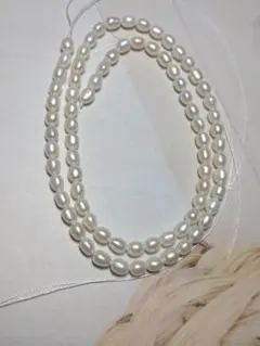 淡水パール 38㌢