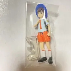 ポケモン　スケールワールド ハルト