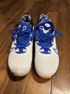 NIKE AIR ZOOM BB NXT EP ナイキ 26cmのサムネイル
