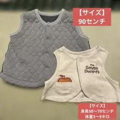 ベスト2点セット