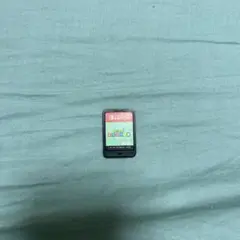 あつまれどうぶつの森 Nintendo Switch