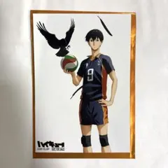 ハイキュー!! 影山飛雄 排球四季景 夏の陣 クリアファイル - メルカリ