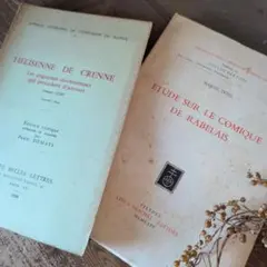 B472 フランスヴィンテージ 洋書 古びた風合い ディスプレイ インテリア