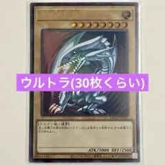 遊戯王 青眼の白龍 パック SCB1-JPP01 ブルーアイズ 未開封 プロモ