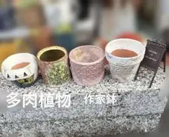 作家鉢 リメ鉢 モルタル造形 デコパージュ　植木鉢 多肉植物 作家鉢 リメ鉢 モルタル造形 デコパージュ 植木鉢 多肉植物 - メルカリ