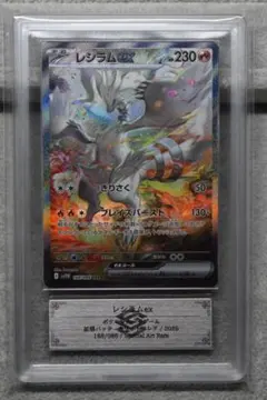 2026年最新】レシラムex psa10の人気アイテム - メルカリ