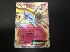 2026年最新】ゼルネアスex cp5の人気アイテム - メルカリ