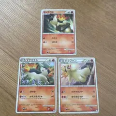 ポケモンカード ヒノアラシ マグマラシ バクフーン 進化ライン