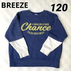 Item thumbnail for item 245047ee-34d7-4936-8527-f097c30e15be