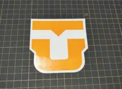 Item thumbnail for item 424a71d5-8541-4e10-bc54-45dd719ea10c