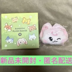 ジェミン　ぬいぐるみ NCT CCOMAZ マスコットぬいぐるみ ジェミン - メルカリ