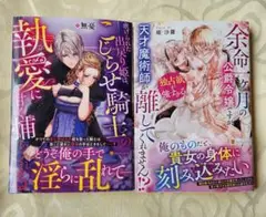 虐げられた出戻り姫は、こじらせ騎士の執愛に甘く捕らわれる