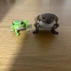 蛙力士 2個セット