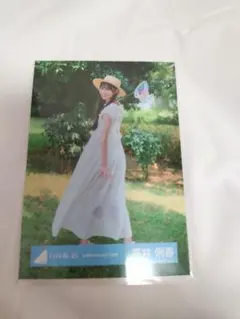 Item thumbnail for item 7d0c17f6-391f-4018-b88f-eb5dd0f1ad9e