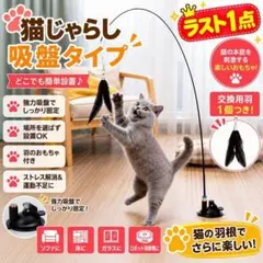 猫じゃらし 吸盤式 手持ちOK 一人遊び 猫おもちゃ 羽根 交換用2個付き