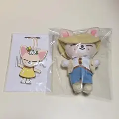 Stray Kids スキズ skzoo アイエン フォクシニー