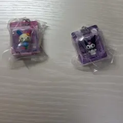 サンリオ　パッケージミニチュアコレクション　ウサハナ　クロミ