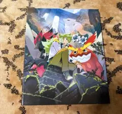 コレクションファイルセットN カードファイルのみ