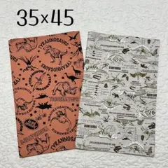 ランチョンマット 35×45 2枚セット　恐竜柄　ダイナソー　男の子用　給食用のサムネイル