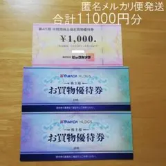 ヤマダ電機 ビックカメラ 株主優待券 合計11000円分