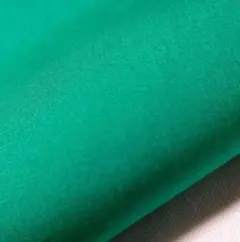 Item thumbnail for item 48f37193-fa81-4f6e-b028-3e0827ff5e32