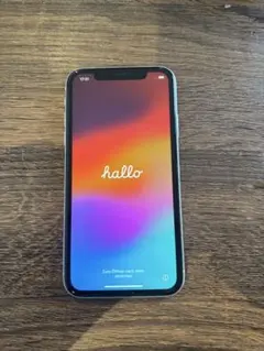 Apple iPhone 11 本体