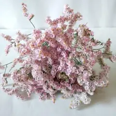 ハイブリッドスターチス　ピンク　ドライフラワー