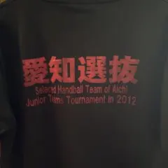 早稲田大学 ハンドボール Tシャツ XLサイズ - メルカリ