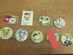 からぴち カラフルピーチ シヴァさん 魔法学園等身缶バッジ 67個セット