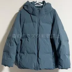 ダウンジャケット4l