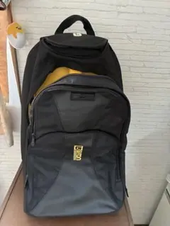 BURTONキャリーバッグ 美品