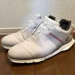 フットジョイ 27