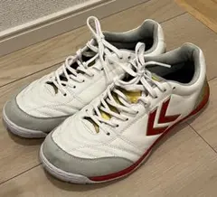 【美品】 アピカーレ5 SL PG フットサル 白 金 25.5 限定 別注 2025年最新】アピカーレ5の人気アイテム - メルカリ